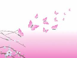 We did not find results for: 47 Animated Butterfly Wallpaper On Wallpapersafari