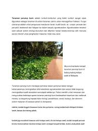 Kelapa sawit ialah jenis tanaman sejantina (monoecious) iaitu jambak bunga jantan dan bunga betina terletak berasingan antara satu sama lain tetapi pada pokok yang sama. Ekosistem Kelapa Sawit