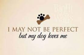 Pin On The Love Of Pets