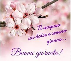We did not find results for: á… Le Piu Belle Immagini Di Fiori Per Whatsapp