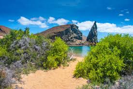 Tourisme, séjours et circuits en equateur, vols pour quito, guayaquil et autres destinations. Agence Locale En Equateur Contactez Terra Ecuador Le Voyage Autrement