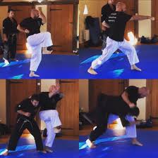 The kata consists of kicks, punches, sweeps, strikes, blocks, and throws. Can Karate Kata Be Applied On The Street