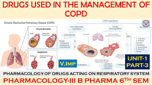 Image result for Medications in COPD Management