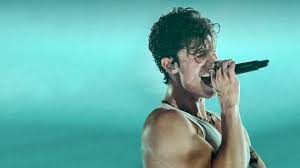 He additionally toured in support of taylor swift in 2015 and austin mahone in 2014. Shawn Mendes Live In Concert Netflix Official Site