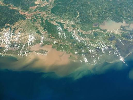 The dead zone: How the Midwest kills marine life in the Gulf of Mexico |  Friends of the Mississippi River