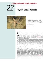 Phylum Echinodermata