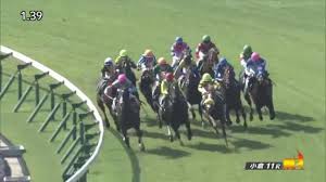 Maybe you would like to learn more about one of these? å°å€‰è¨˜å¿µ2019ç‰¹é›† Netkeiba Com ç«¶é¦¬äºˆæƒ³ çµæžœ é€Ÿå ± ã‚ªãƒƒã‚º å‡ºé¦¬è¡¨ å‡ºèµ°äºˆå®šé¦¬ é¨Žæ‰‹ æ‰•æˆ»ãªã©ç«¶é¦¬æœ€æ–°æƒ…å ±