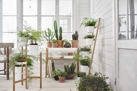Conservatories Garden Rooms And Sheds Space Saving Solutions And Storage Ideas