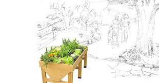 From seed to sunset ep 5. Vegtrug See What You Can Grow
