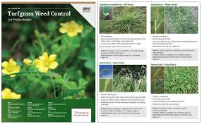 Purdue Turf Tips 2017 Turf Weed Control For Professionals