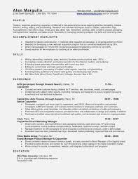 On this page you will find links to professionally designed templates that can be used to create an interview winning cv or resume. Resume Finance Manager Car Dealership Resume Sample Do You Need Anything Else