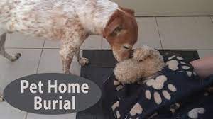 There may be a special place that you would like to bury your dog, such as your backyard, in a garden, the special spot in the sun he used to lay out, or next to his favorite tree. Burying Your Dog At Home Pet Home Burial D For Dog