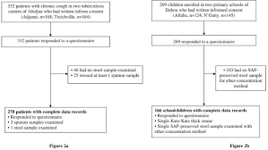 Flow Chart Detailing The Study Participation And Adherence