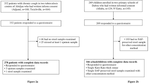 flow chart detailing the study participation and adherence