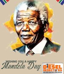 Ermelo Diesel Injectors