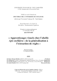 Chaleur tournante ou traditionnelle ? Pdf Local Feature Assembling In Visual Pattern Recognition And Generalization In Honeybees