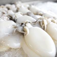Le seppie ripiene guardando la ricetta ti verranno perfette anche se le. Seppie Pulite Marocco Soripesca