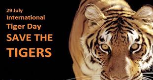 Global tiger day or international tiger day is annually celebrated on 29th july. International Tiger Day International Journal Of Research Ijr