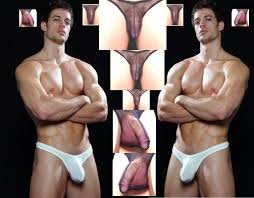 William Levy Model - Bobs and Vagene