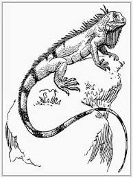 Pin On Coloring Pages For Adults