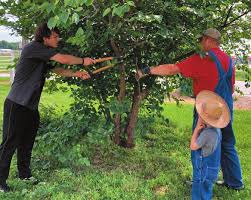 More than just a building