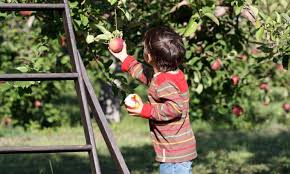 Get started with a template. Want To Buy Apple Stock Here S What You Need To Know Nerdwallet