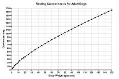 Basic Calorie Calculator Veterinary Medical Center