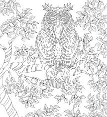 This is a tutorial on how to make a coloring book page from a photo.program used is adobe photoshop cc. Give You 25 Already Made Detailed Adult Coloring Book Pages By Camelia1977 Fiverr