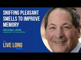 Improve memory by experiencing more odors?