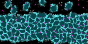 Having them does not definitely mean you have stomach cancer. Gut Feeling Spotting The Early Signs Of Gastric Cancer Clinical And Molecular Dx