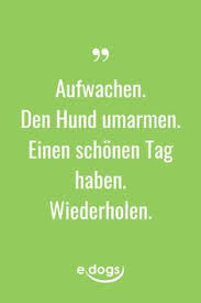 So gut, wie mein hund meint, dass ich es bin. 180 Hunde Spruche Ideen In 2021 Hund Zitat Hunde Hundespruche