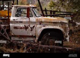 Image result for White 1965 GMC