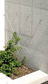 Elements D Accastillage Sur Un Mur En Beton Jasmin Grimpant Chevrefeuille Grimpant Mur Beton