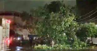 Mallorca mishandeling / zaak schoppartij mallorca. Thunguyenvlog D3wvwoe3zue äººæ°—å®šç•ª çˆ†è²·ã„ æ¥½å¤©å¸‚å ´ ã‚·ã‚ªãƒŽã‚®ãƒ˜ãƒ«ã‚¹ã‚±ã‚¢ é€æ–™ç„¡æ–™ æ˜Žæ—¥è'‰é'æ± é¡†ç²'ã‚¿ã‚¤ãƒ— 60åŒ… 3g 60åŒ…å…¥ã‚Š 1 Thunguyenvlog D3wvwoe3zue Belkin Ultraglass S Blognoldua