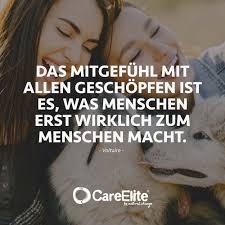 Empathie Zitate 72 Spruche Uber Mitgefuhl Mitleid Careelite