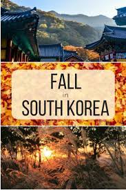 The Ultimate South Korea Fall Travel Guide With Images Fall Travel South Korea Travel Autumn In Korea