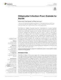 chlamydial infection from outside to inside