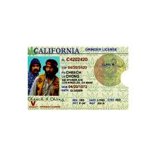 Cheech and chong were a comedy team of the early 1970s that opened for rock bands, recorded a series of popular comedy albums, performed on the college circuit, and appeared in their own movies. Grinder Card Cheech Chong