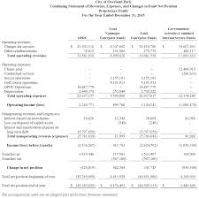 Financial statement review i think a great aid in avoiding a successful sham trust allegation is the performing of a financial statement review. The Basic Financial Statements Financial Strategy For Public Managers