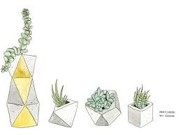 Succulent Wallpaper Tumblr Best Succulent Ideas Download for free and use however you wish! best succulent ideas