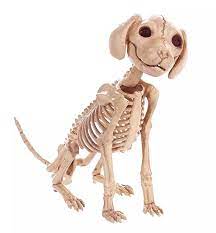 Pin On Halloween Fall