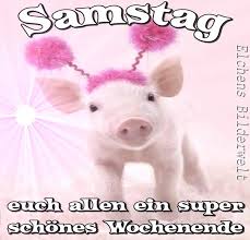 Samstag Bilder Samstag Gb Pics Samstag Bilder Spruch Des Tages Lustig Wochenende Lustig