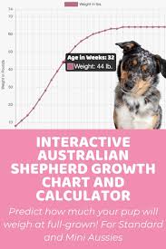Puppies grow very fast over the first six months of their life, during that time they will have put on after about six months of age, they will still continue growing, but the rate of growth won't be as. Homepage Puppy Weight Calculator