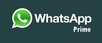 The apps are unoffcial whatsapp fork builds with powerful features lacking whatsapp mod is the forked version of wa with fully unlocked premium features. 17 Best Whatsapp Mods For 2021 You Should Know Istartips