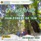 Forest Walk @ IIUM Forest of ‘Ilm event image
