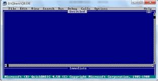 Complete Computer Course For Class 10 Qbasic