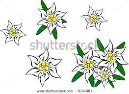Pin On Clip Art Etc