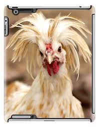 Bad Hair Day Rooster Ipad Retina 3 2 Snap Case By Kgphotographics Bad Hair Day Bad Hair Hair Day