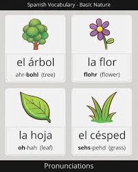 (f) my gums hurt because i went to the dentist.me duelen las encías porque fui al dentista. Pin On Learning Spanish