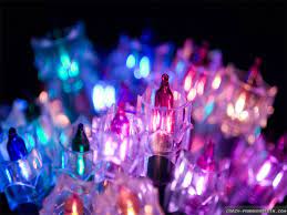 Blue Christmas Lights Christmas Lights Holiday Lights